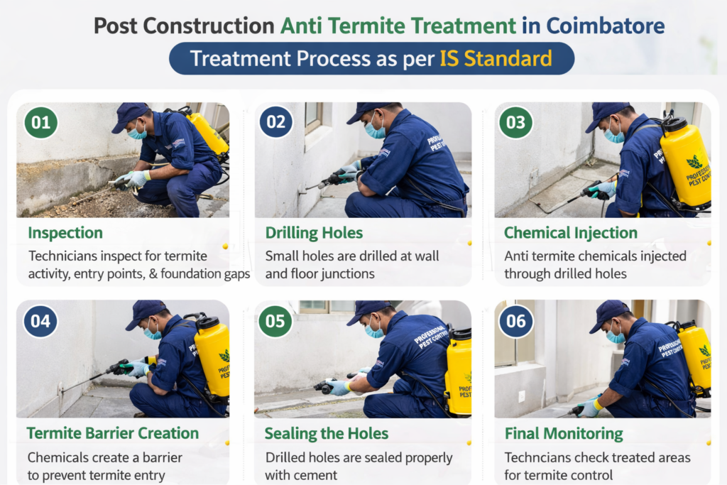 Post Construction Termite Treatment Service in Coimbatore